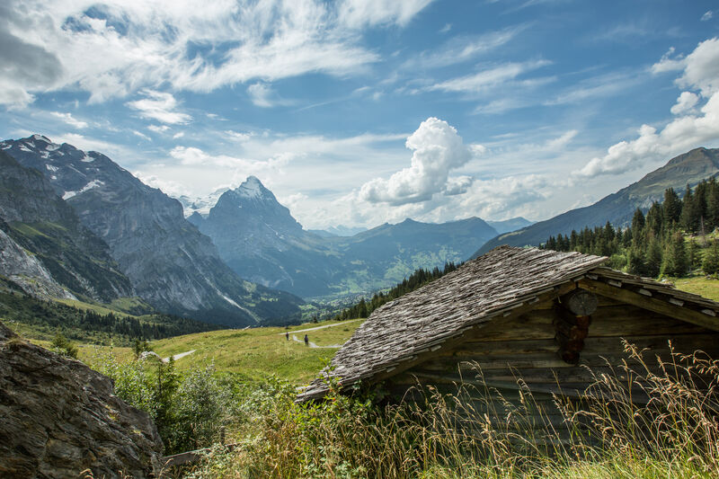 Schwarzwaldalp-Gr Scheidegg